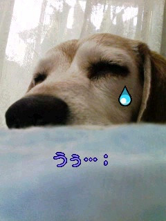 �n�@�c
