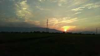 䗷sI