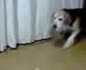 �����~������ł�