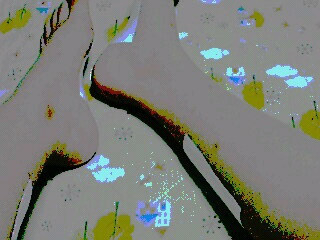 �x������