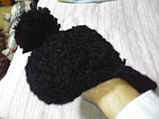 �v���[���g�R