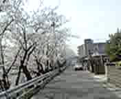 �ʊw�H