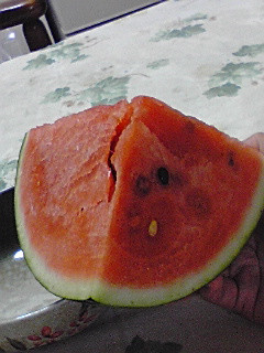 ���Z�̎l���̈�