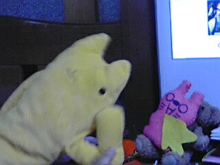 �F�lA���V�тɗ����B��