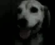 �������������s??