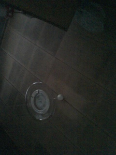 (LEցE`)